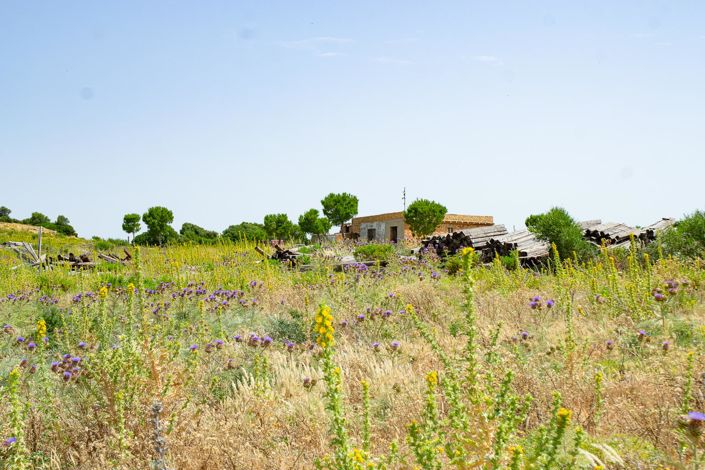 Image No.15-1 Bed Finca for sale