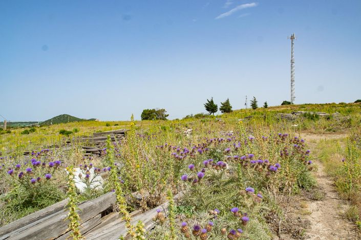 Image No.3-1 Bed Finca for sale