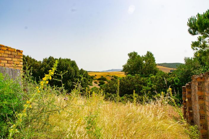 Image No.4-1 Bed Finca for sale