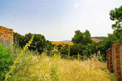 dsc0308