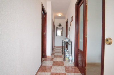 dsc0208-1