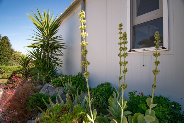 Image No.20-4 Bed Villa for sale