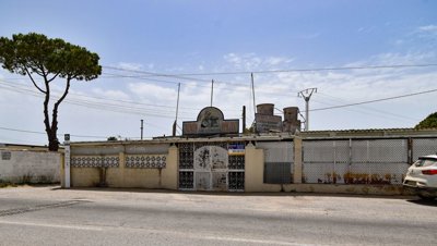 dsc0353-1