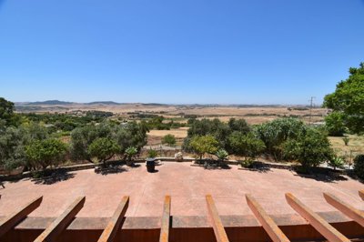 dsc0322-1