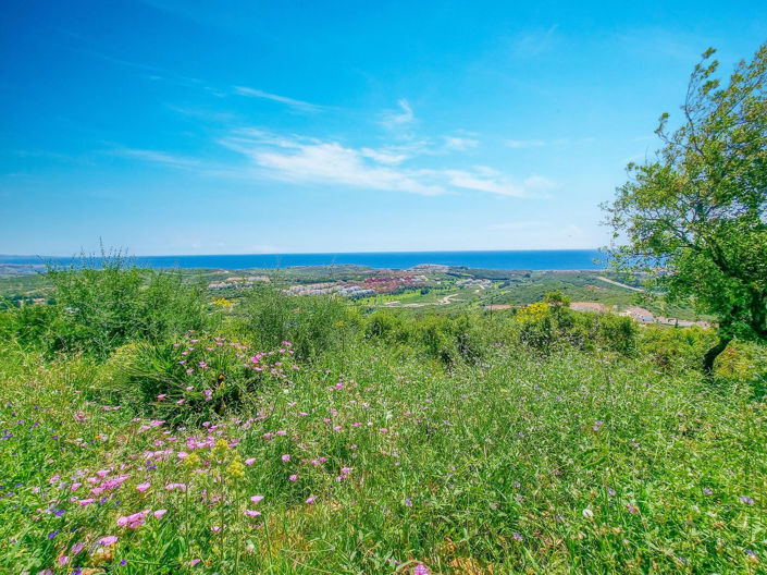 Image No.3-Propriété de 2 chambres à vendre à Casares