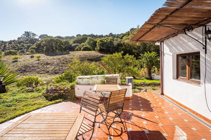 Image No.26-3 Bed Finca for sale