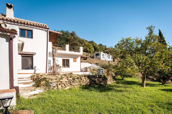 Image No.29-3 Bed Finca for sale