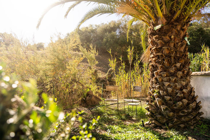 Image No.30-3 Bed Finca for sale