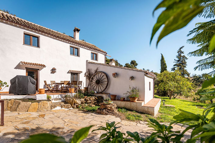 Image No.31-3 Bed Finca for sale