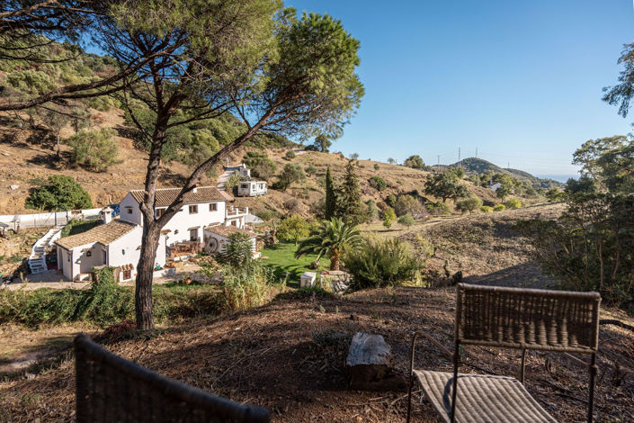 Image No.32-3 Bed Finca for sale