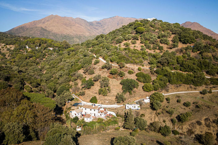 Image No.37-3 Bed Finca for sale