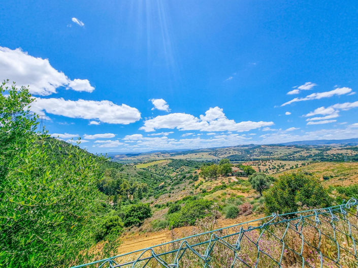 Image No.41-3 Bed Finca for sale