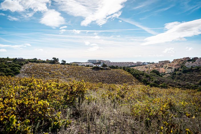 Image No.13-2 Bed Cortijo for sale