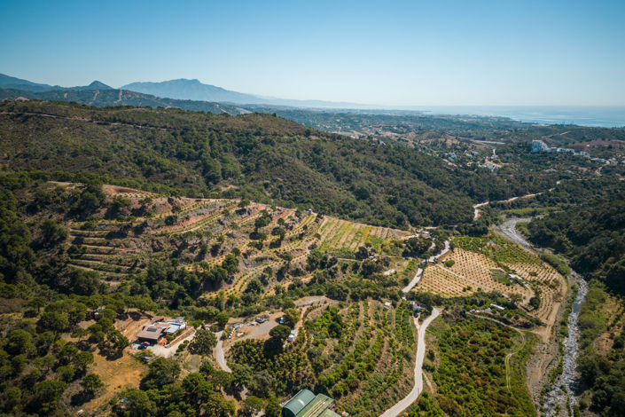 Image No.41-3 Bed House for sale