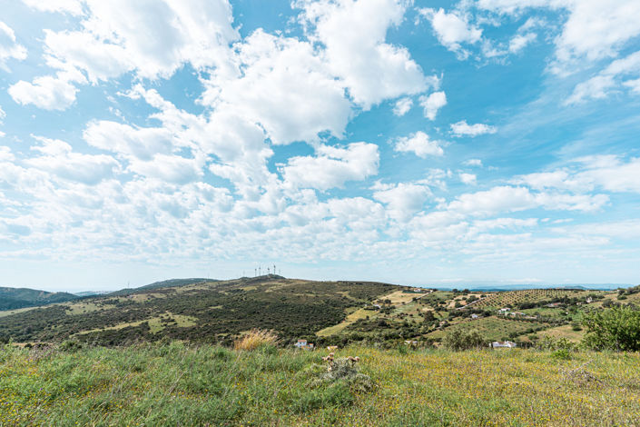 Image No.6-1 Bed Finca for sale