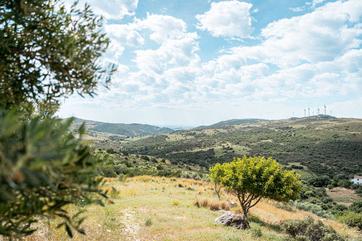 Image No.8-1 Bed Finca for sale