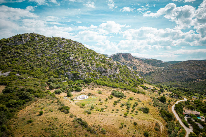 Image No.9-1 Bed Finca for sale