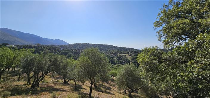 Image No.1-Plot for sale