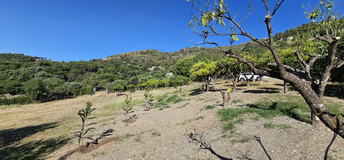 Image No.12-Terrain à vendre à Casares