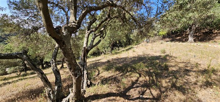 Image No.3-Plot for sale