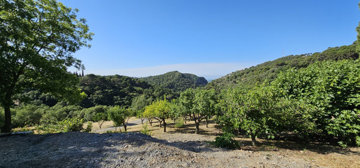 Image No.6-Terrain à vendre à Casares