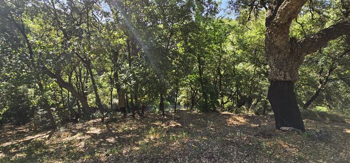 Image No.8-Plot for sale