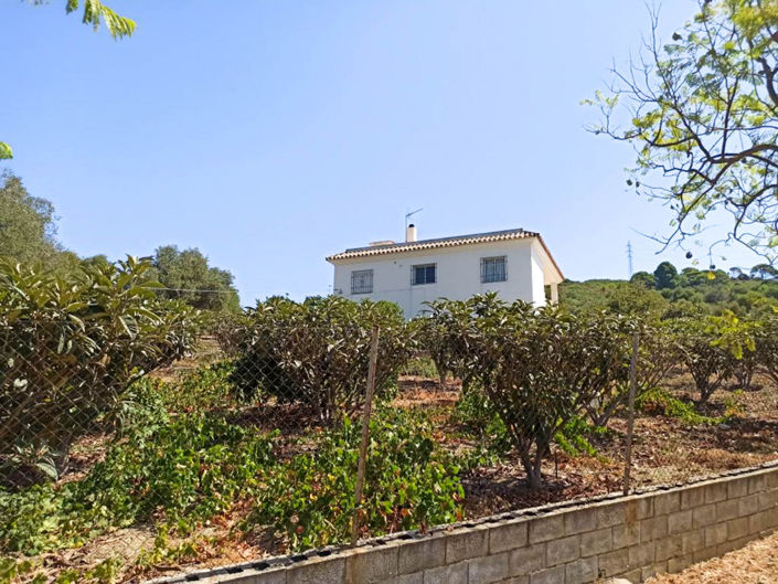 Image No.1-3 Bed Finca for sale