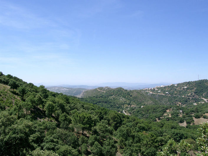 Image No.33-5 Bed Villa for sale