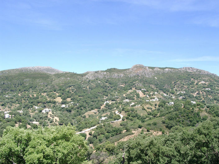 Image No.34-5 Bed Villa for sale