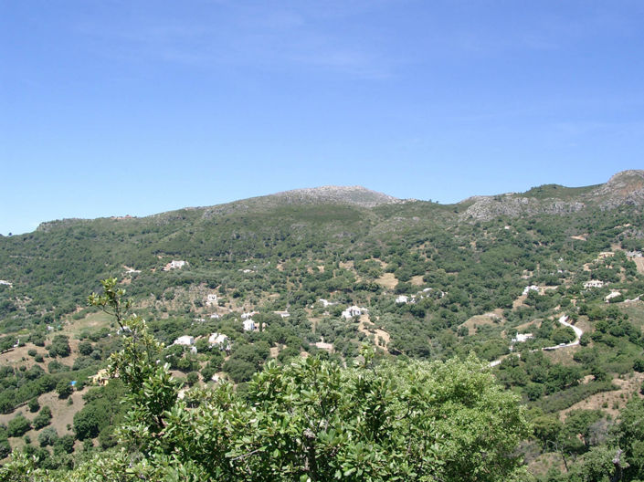 Image No.36-5 Bed Villa for sale