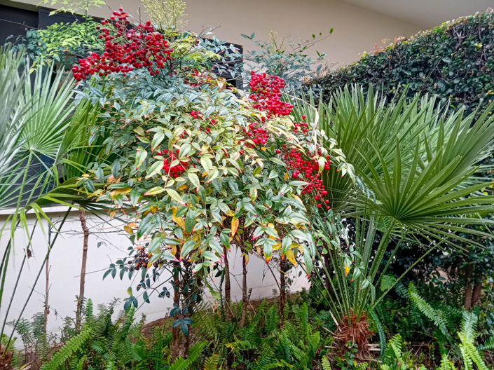 Image No.25-3 Bed Townhouse for sale