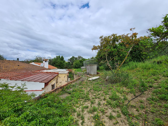 Image No.28-Maison de 3 chambres à vendre à San Martin del Tesorillo