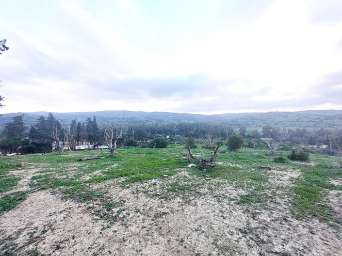Image No.31-Maison de 3 chambres à vendre à San Martin del Tesorillo