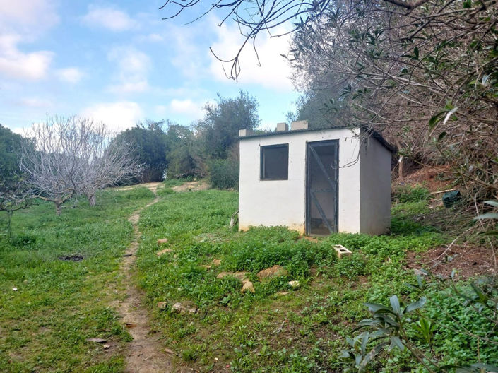 Image No.35-Maison de 3 chambres à vendre à San Martin del Tesorillo