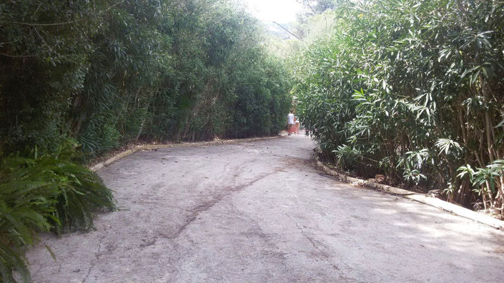 Image No.40-Maison de 3 chambres à vendre à San Martin del Tesorillo