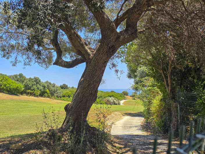 Image No.47-3 Bed Townhouse for sale