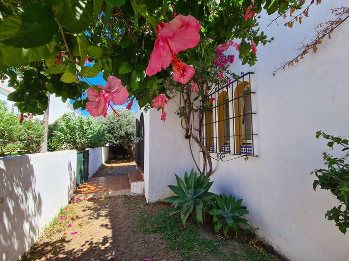 Image No.13-3 Bed House for sale