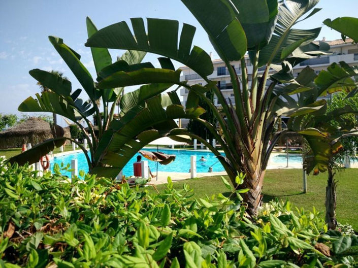 Image No.34-Appartement de 3 chambres à vendre à Manilva