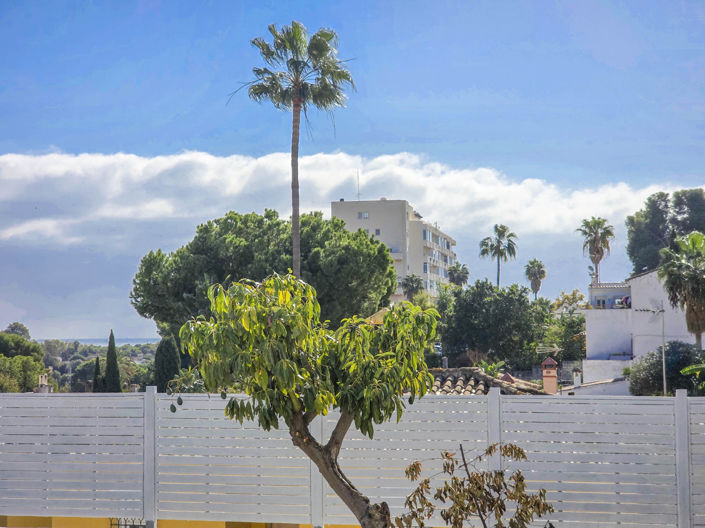 Image No.16-3 Bed House for sale