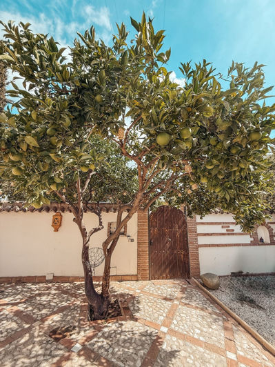 Image No.16-5 Bed House for sale
