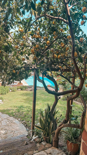 Image No.27-5 Bed House for sale