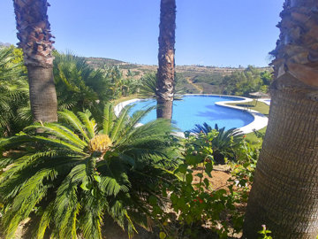 b98le8d7m9k3degpefzhs0lif8u4xzvzhwxtmggyekxx9