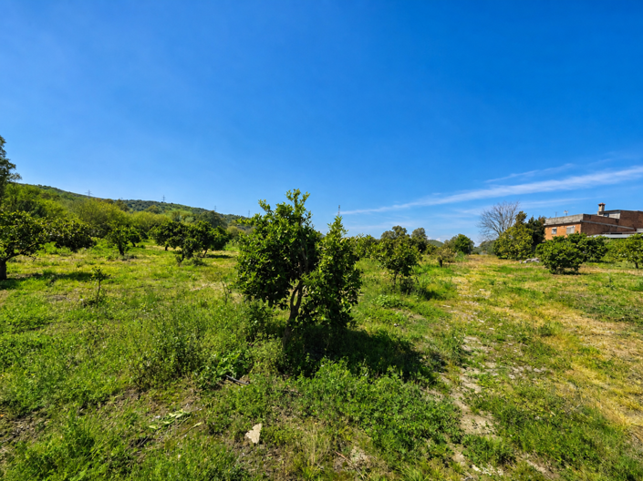 Image No.18-Plot for sale