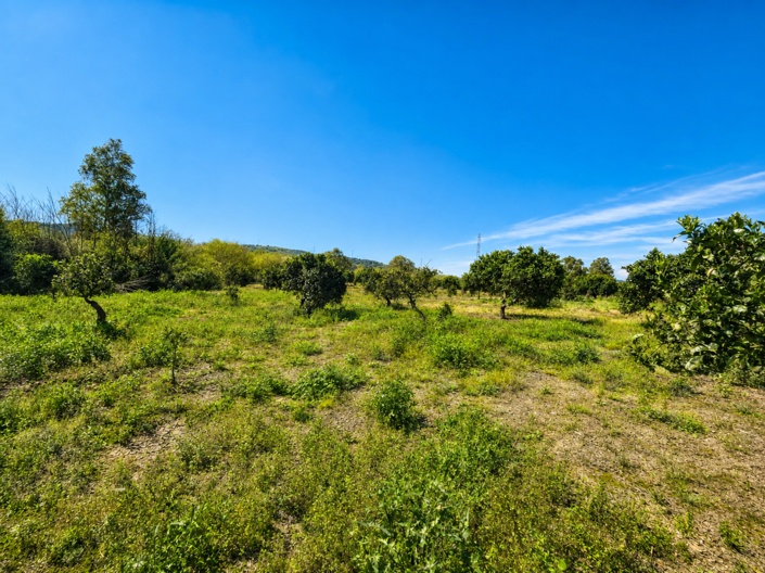 Image No.19-Plot for sale