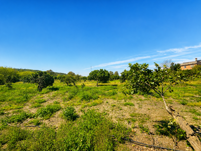 Image No.20-Plot for sale
