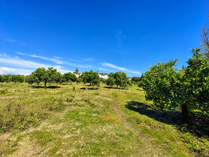 Image No.22-Plot for sale