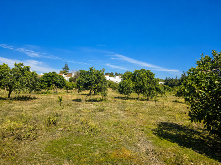 Image No.23-Plot for sale