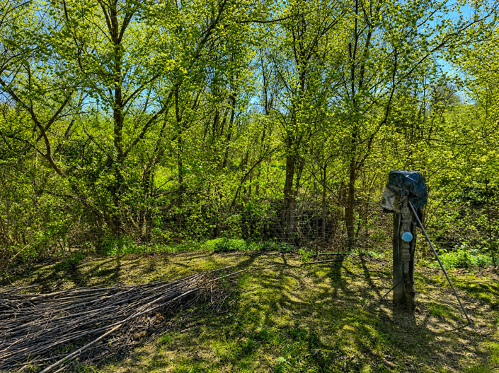 Image No.24-Plot for sale