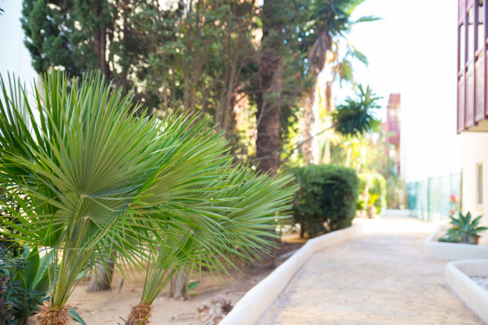 Image No.43-2 Bed Apartment for sale