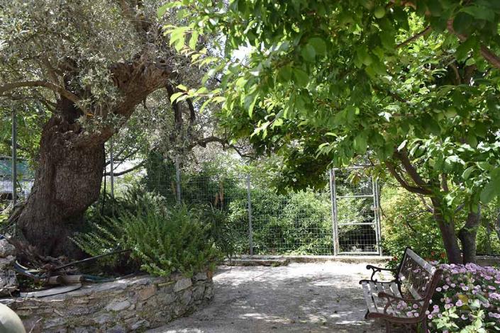 Image No.37-Maison de village de 3 chambres à vendre à Héraklion